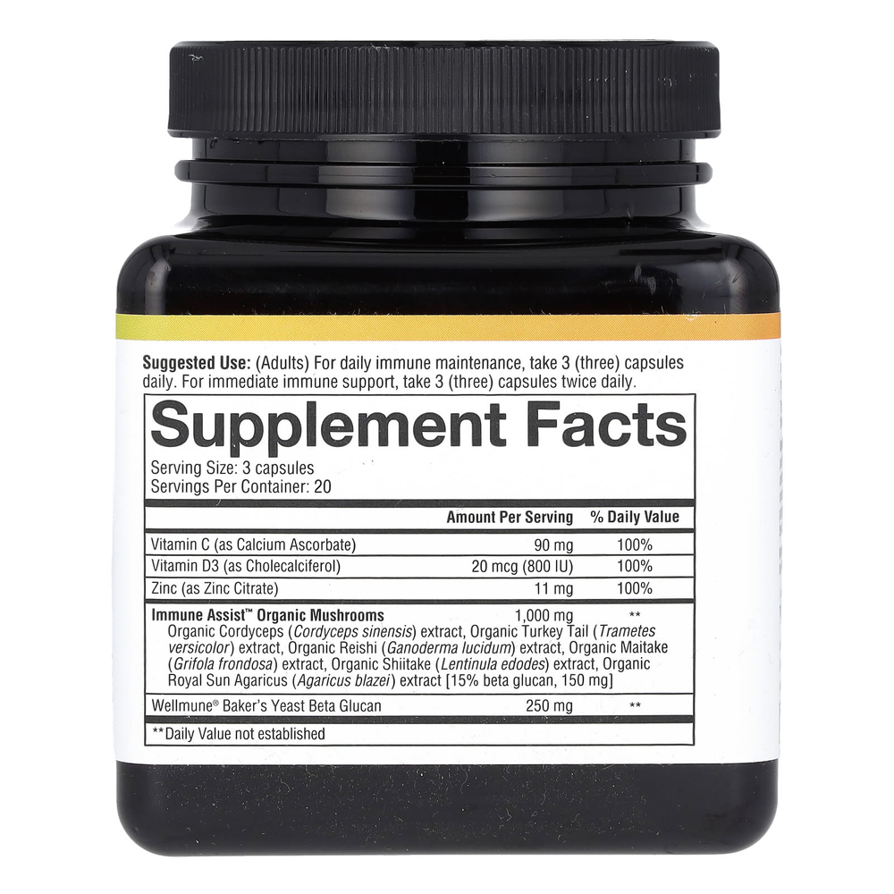 Youtheory, Immune + Daily Wellness, 60 вегетарианских капсул