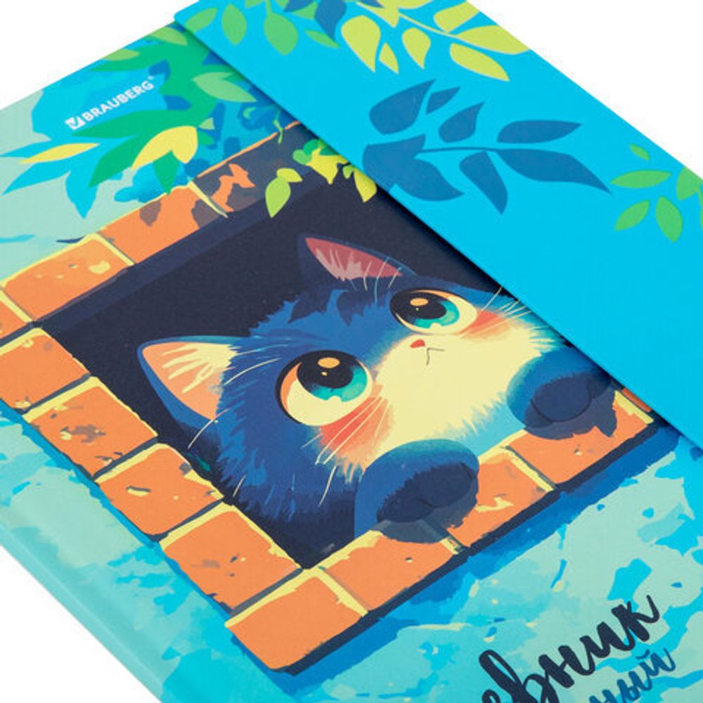 Дневник 1-11 класс 48 л., твердый, BRAUBERG, матовая ламинация, магнитный клапан, закладка-ляссе, с подсказом, "Котик", 107244