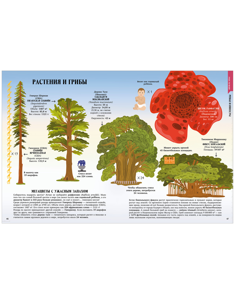 Большая энциклопедия CLEVER. Земля от атома до галактики. Масштабы мира в цифрах