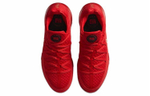 Кроссовки Nike Lebron 17 Low Ph Ep