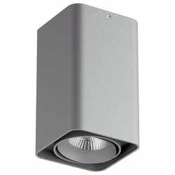 Накладной светильник Lightstar Monocco 052339