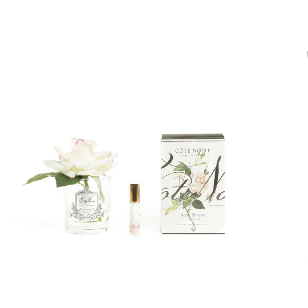 Ароматизированная роза в прозрачной вазе и 1 спрей 16х10.5х10.5 Cote Noire French Rose blush