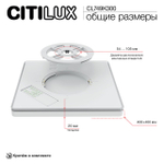 Потолочный светодиодный светильник Citilux NORMA CL749K300
