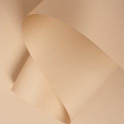 ЛИСТ ПЛОТНЫЙ ФЛОРАНС 58*58/20шт №2