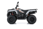 Квадроцикл  Loncin Xwolf 300