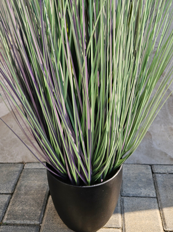 Трава Пампасная с лиловыми султанами 105см в кашпо