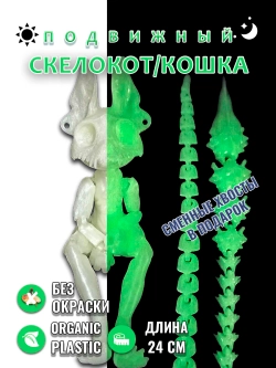 Скелет Кошки