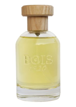 Bois 1920 Insieme