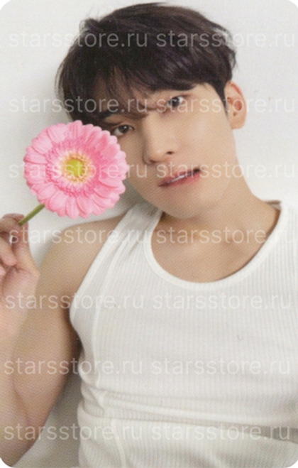 Фотокарта Wonwoo SEVENTEEN - 17 IS RIGHT HERE DEAR Ver.