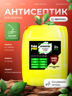 Антисептик для тяжелых условий PaintPRO 10л