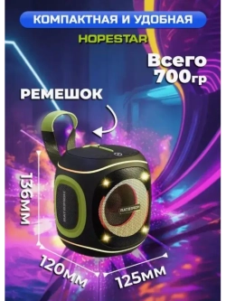 Портативная колонка Party 220 mini