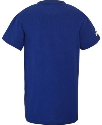 Футболка для мальчика теннисная Babolat Exercise Cotton Boy - небесный