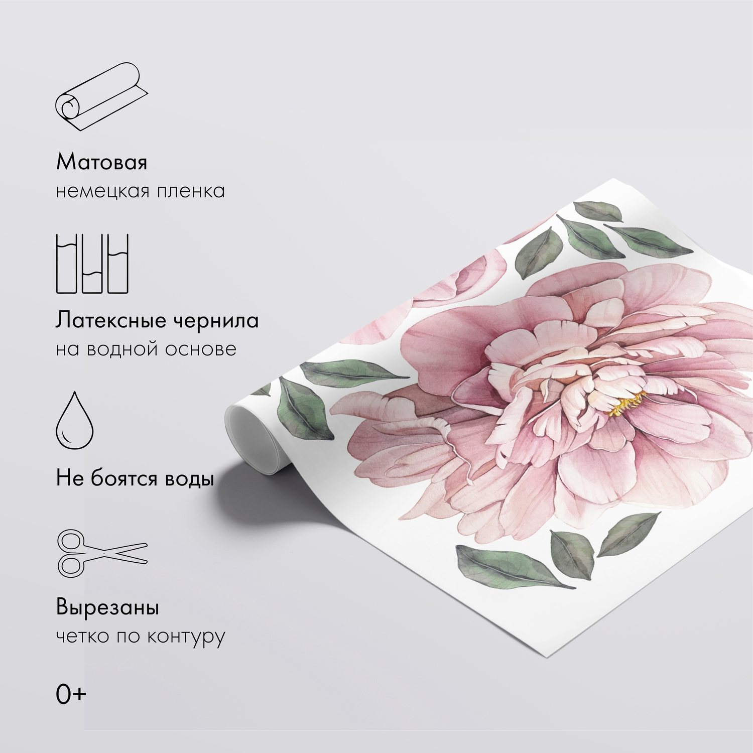 Пионы