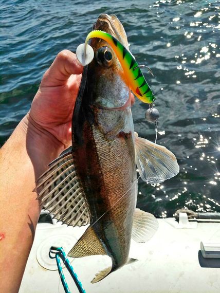 Виброхвосты LJ Pro Series 3D BASARA SOFT SWIM 12,70/PG01 4шт.