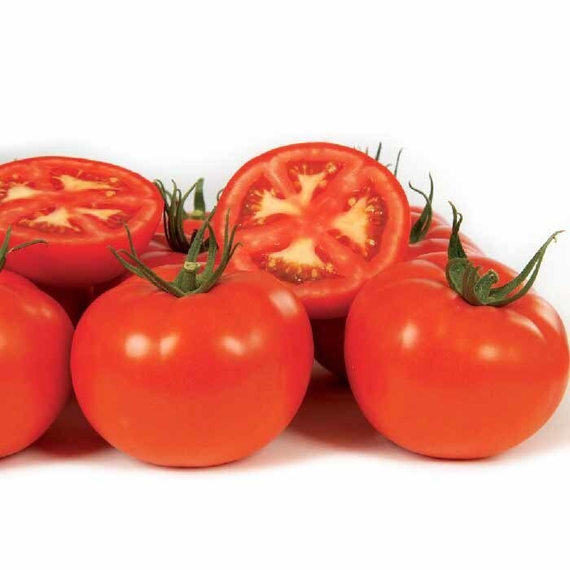 ГАМЗЕ F1 семена томата (Nunhems | Alexagro) – фото 4