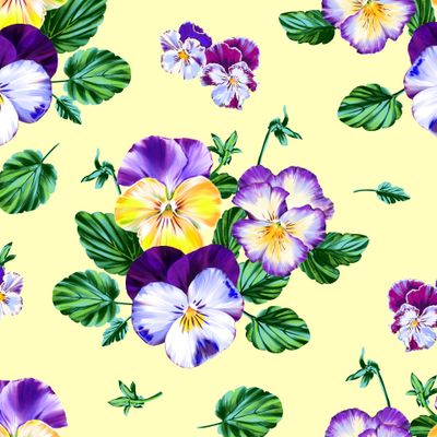 анютины глазки_03