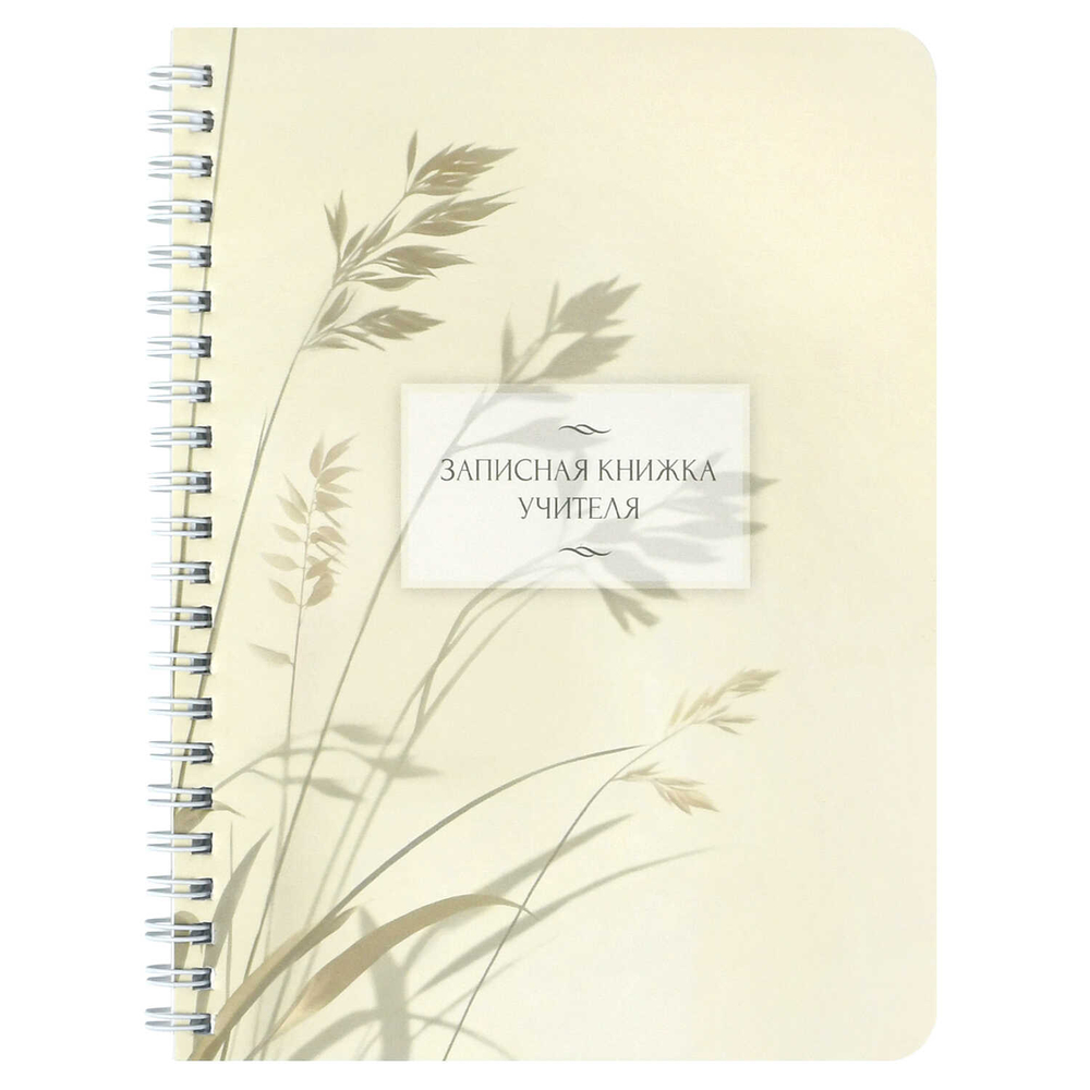 44843b7e_660b_11f0_bab5_d05099d5d12d_0313506b_9959_11f0_bab9_d05099d5d12d