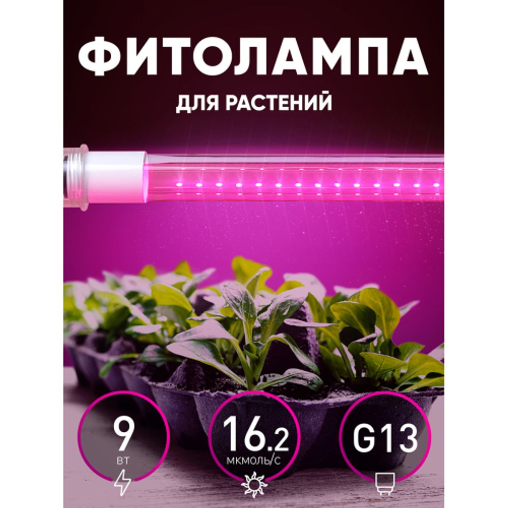 Фитолампа для растений светодиодная ЭРА FITO-9W-RB-Т8-G13-NL и мясных прилавков 9 Вт Т8 G13 красно-синего спектра