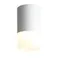ST100.502.05 Светильник потолочный Белый LED 1*5W 3000K 390Lm Ra>80 120° D64xH110 170-240V Накладные светильники