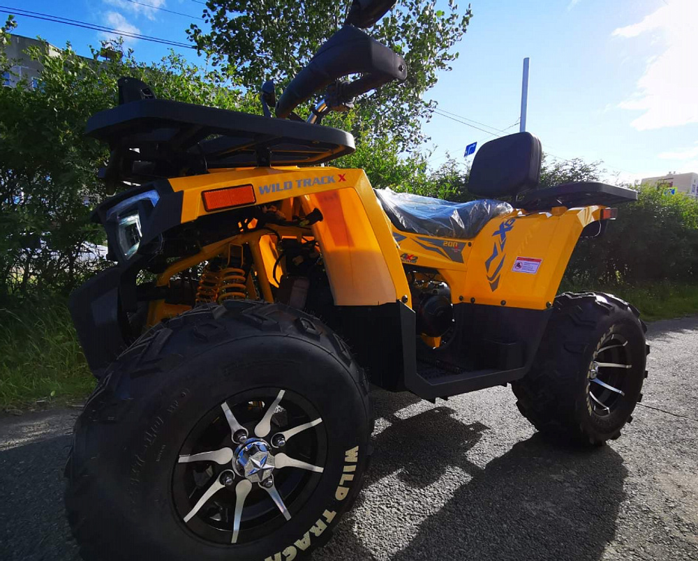 Квадроцикл MOTOLAND (МОТОЛЕНД) 200 WILD TRACK X PRO-SPORT (баланс.вал)