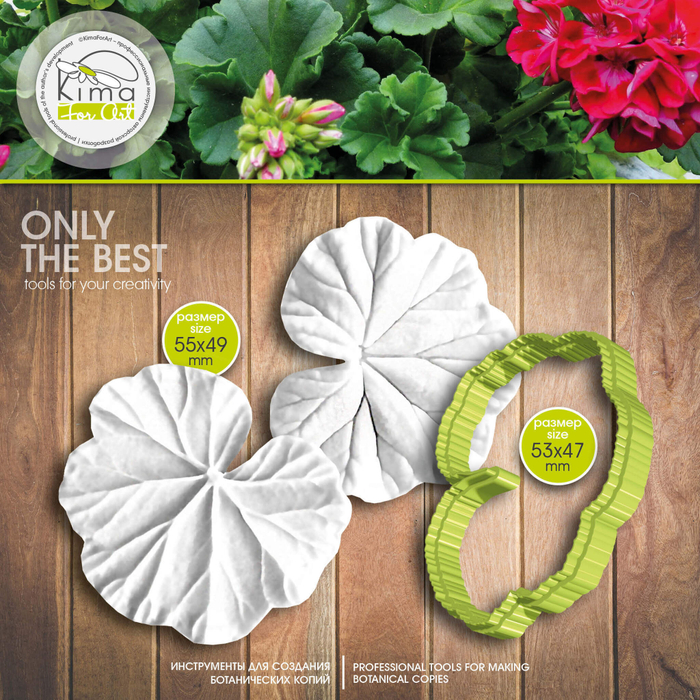 Герань лист