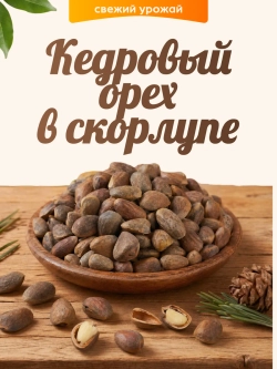 Кедровый орех в скорлупе 100гр.