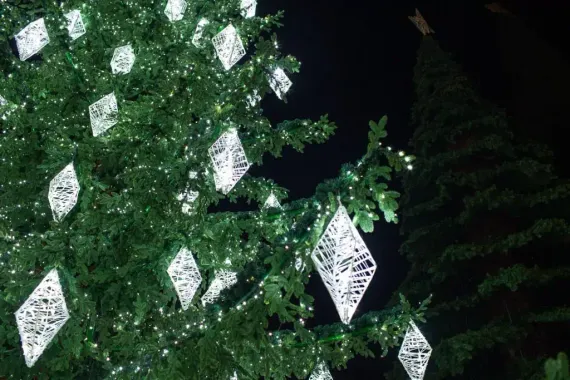 Уличная светодинамическая елка Лесная зеленая 14 м., ствольная, Литая, Green Trees (GT14LESPELED)