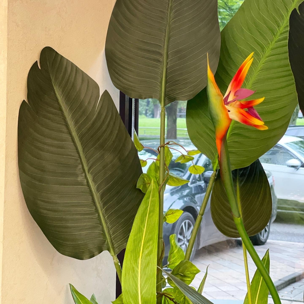 Озеленение искусственными стрелициями и ампельными растениями кафе в супермаркете "Табрис"  г.Краснодар