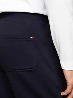 Шорты спортивные мужские TOMMY HILFIGER SMALL LOGO