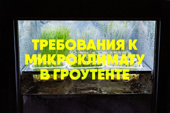 Требования к микроклимату в гроутенте