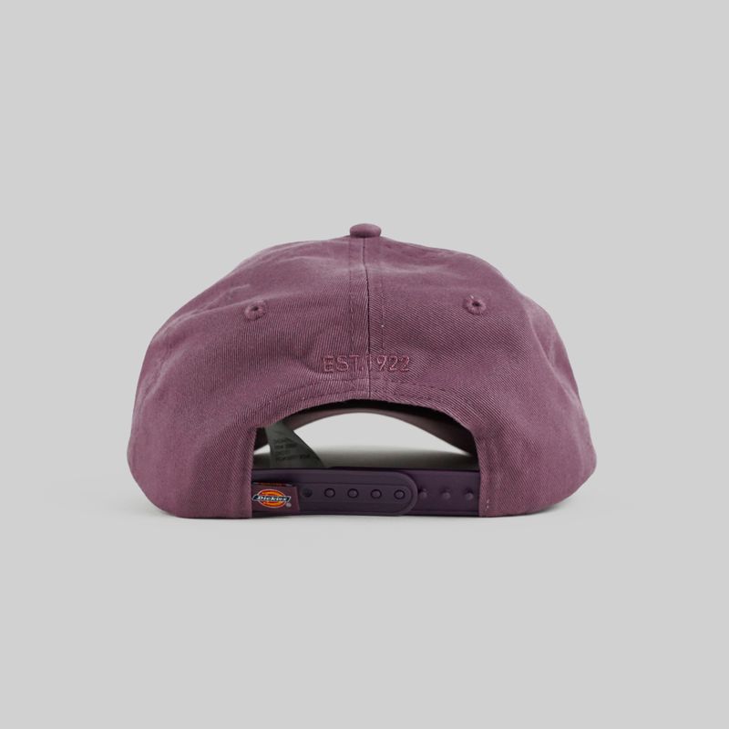 Кепка Dickies 6 Panel Logo артикул:DK0A4TKVB651 - купить в магазине Дайс