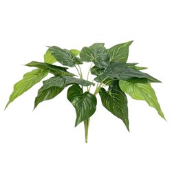 Филодендрон куст 45 см