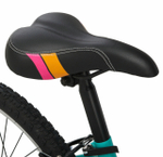 Подростковый велосипед Schwinn HIGH TIMBER 24 GIRL (2018)