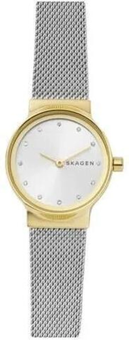 Женские наручные часы Skagen SKW2666