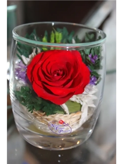 натуральные цветы в стекле, вакуум