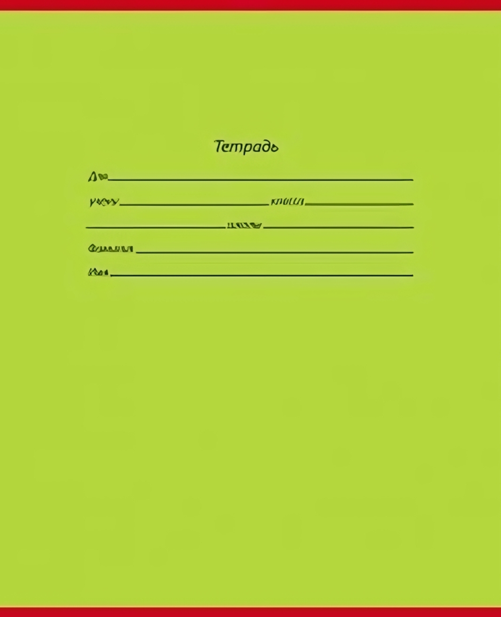 Тетрадь доп. кос. лин. 12л. ШКОЛЬНАЯ КЛАССИКА (12-9270) (Проф-Пресс)