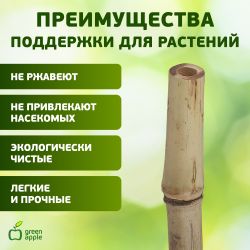 GBS-10-75 GREEN APPLE Поддержка бамбуковая 75см o 10мм набор 5шт