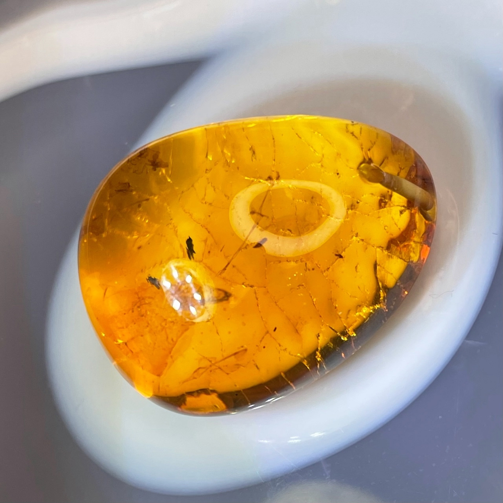 50567  Янтарь Кулон с живностью объёмный 25*32мм