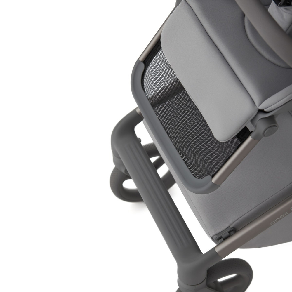 Коляска 2 в 1 ANEX Flo Frossy