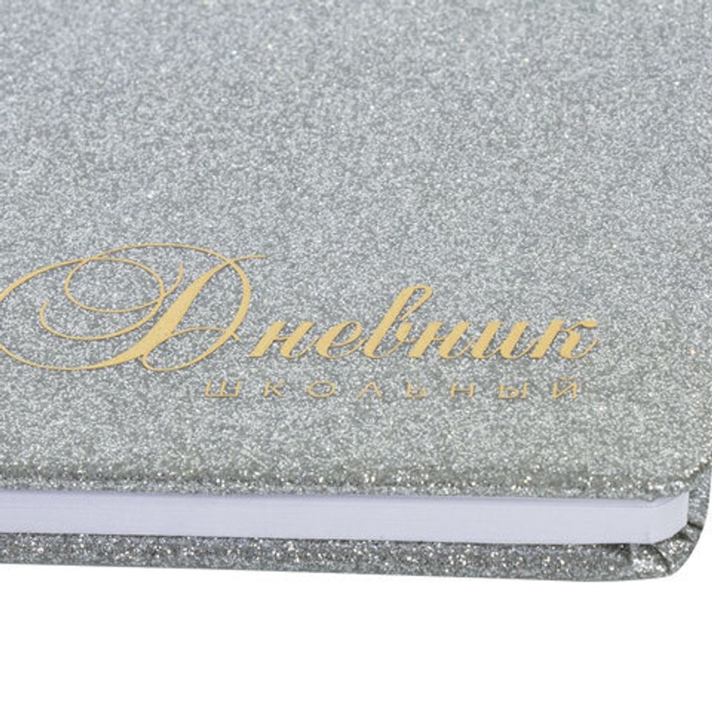 Дневник 1-11 класс 48 л., обложка кожзам (твердая), фольга, BRAUBERG "SPARKLE", серебристый, 105464