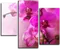 Модульная картина "Цветение орхидеи"