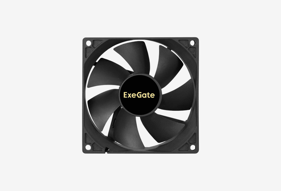 EX297052RUS_0126708011229