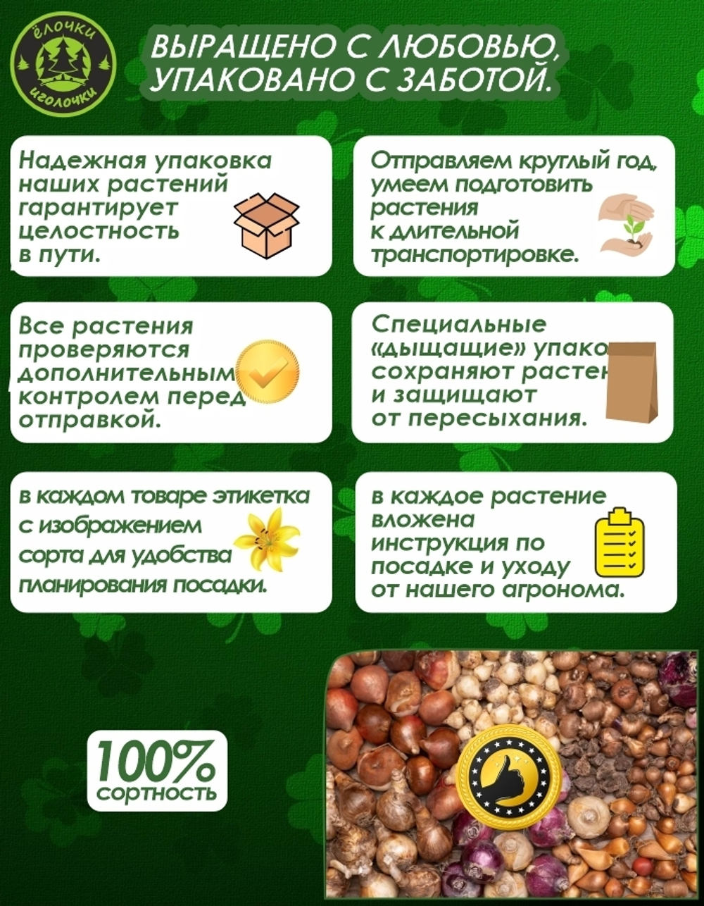 Тюльпан Луковица, Либрие, 6+шт