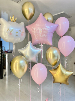 Набор воздушных шаров Кошка №2255