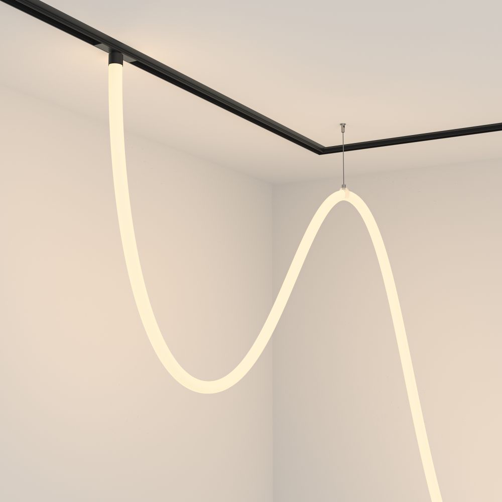 Трековый магнитный светодиодный светильник Maytoni   TR101-2-100W3K-B