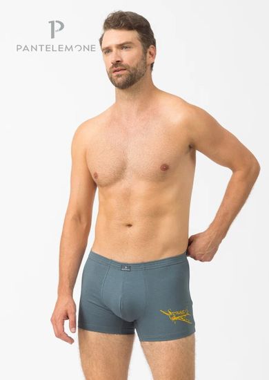 Трусы мужские боксеры Pantelemone PMH-1351, серо-зеленый