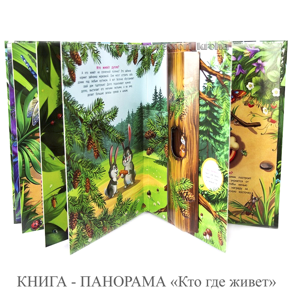 КНИГА - ПАНОРАМА «Кто где живет»