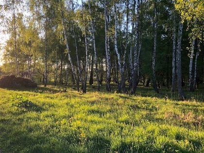 Уборка территории Яблоневого сада в «Романовском Парке»