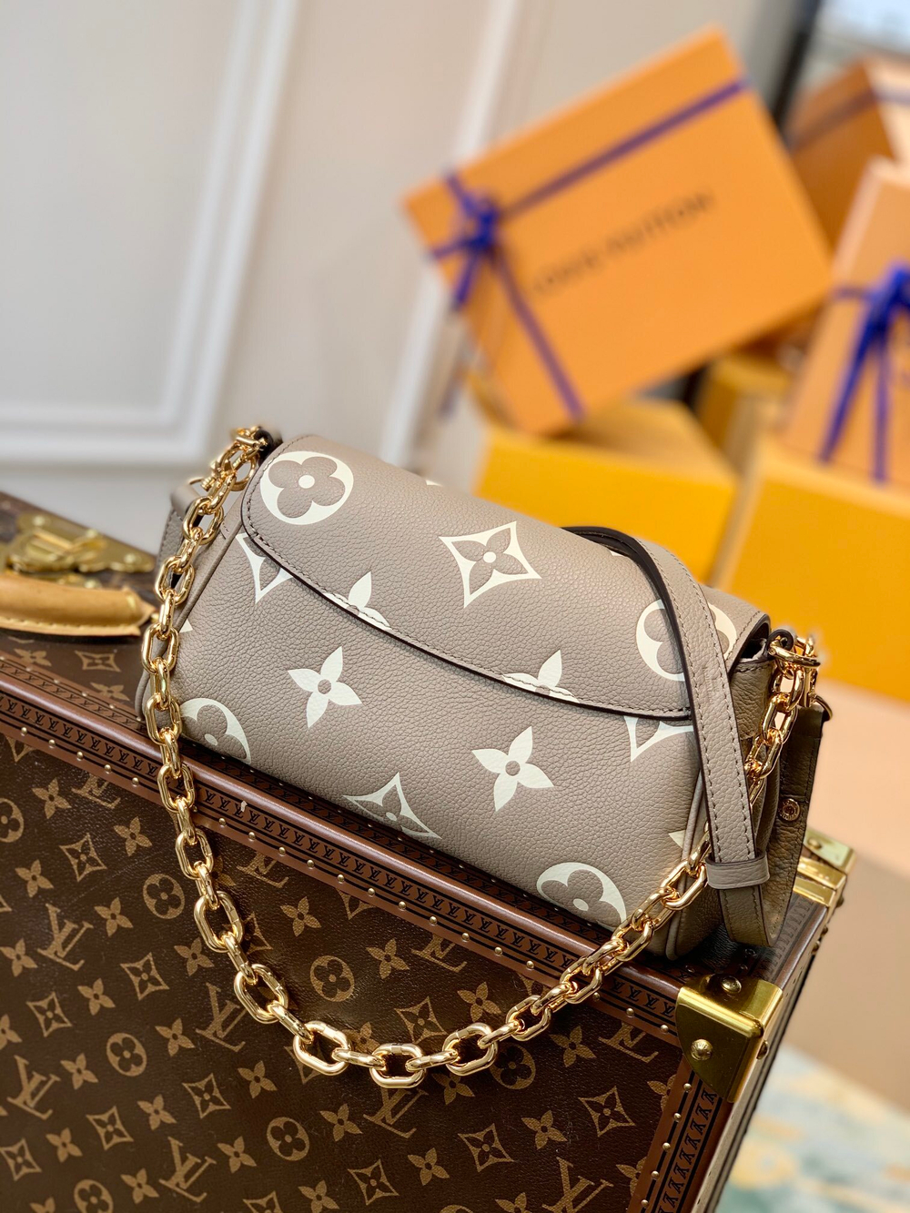 Louis Vuitton Favorite