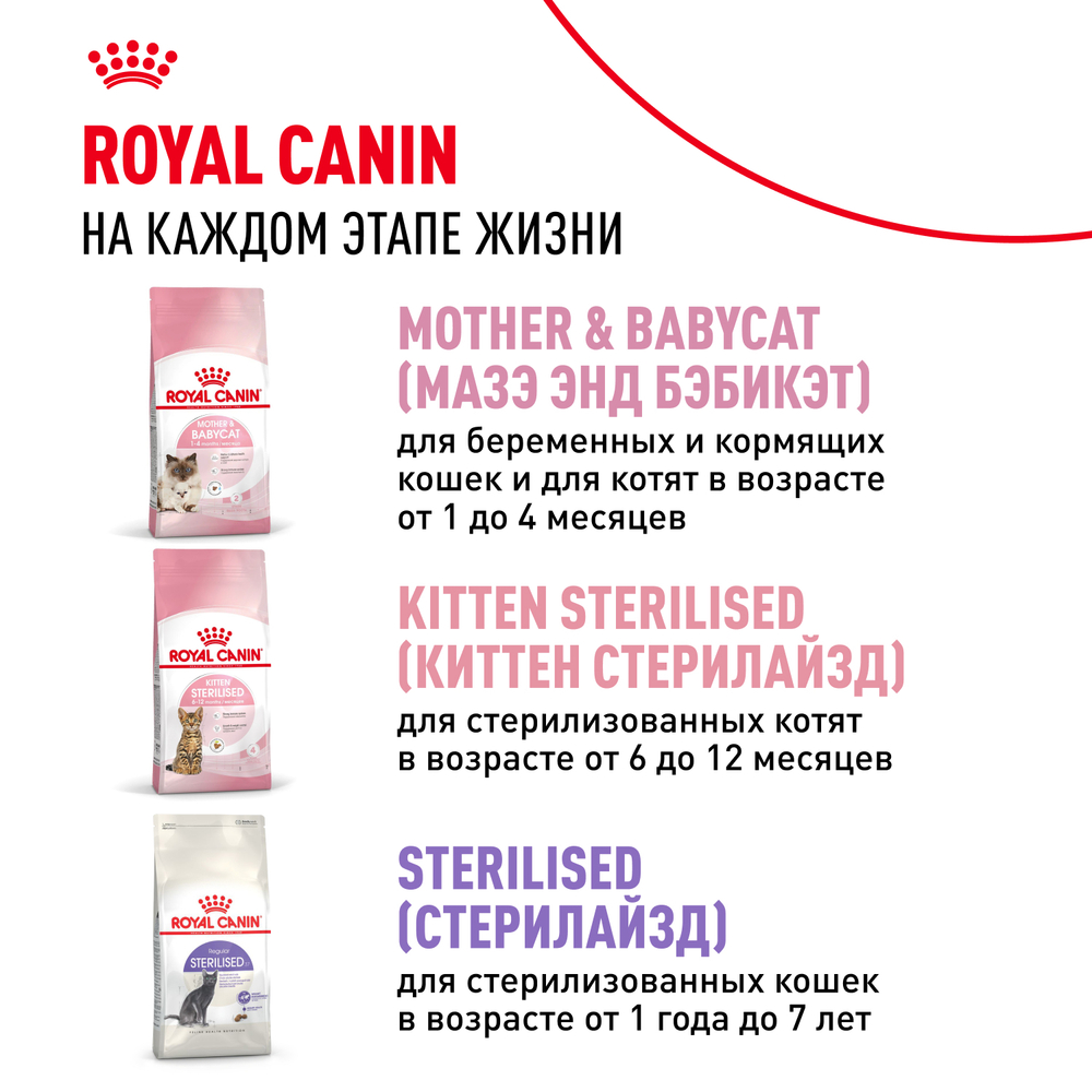 Royal Canin Kitten Корм сухой сбалансированный для котят в период второй фазы роста до 12 месяцев 10 кг